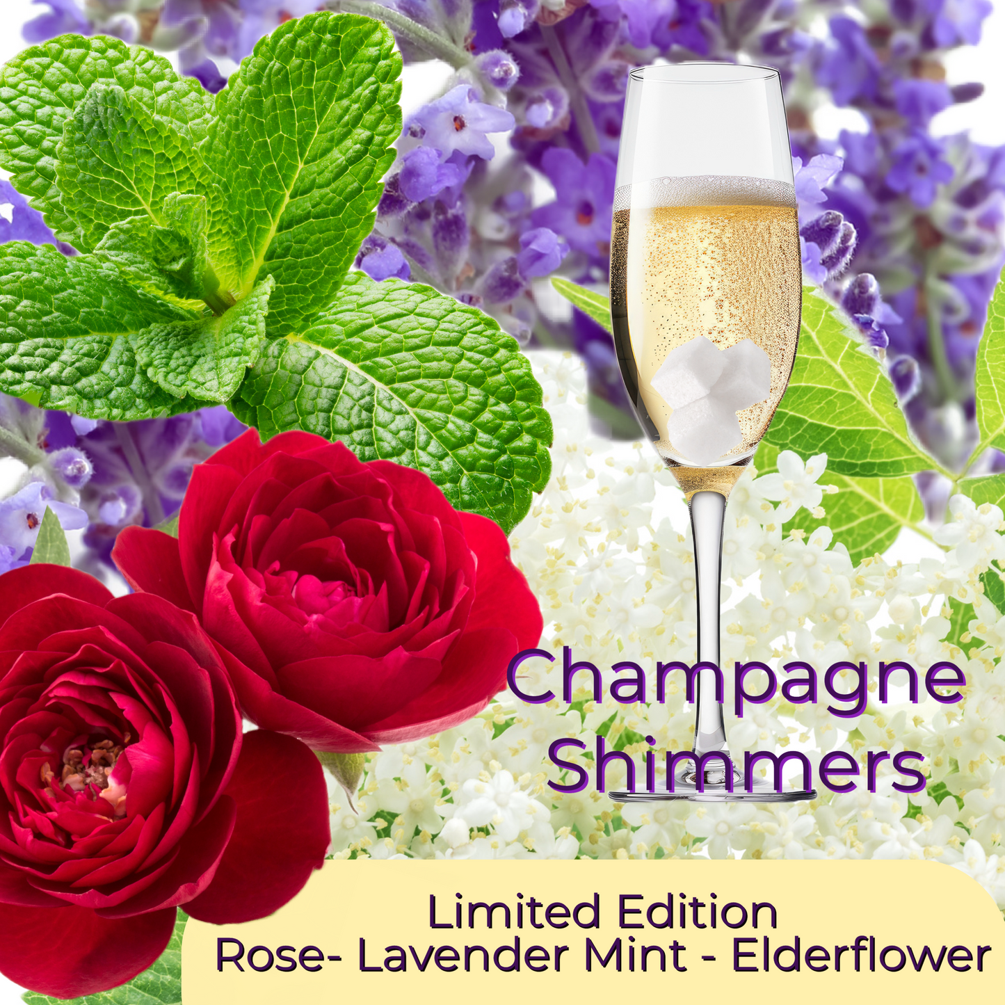 Champagne Shimmers- Elderflower